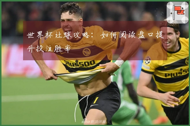 世界杯让球攻略：如何阅读盘口提升投注胜率
