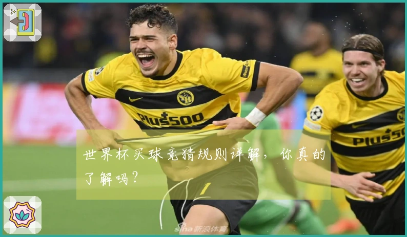 世界杯买球竞猜规则详解，你真的了解吗？