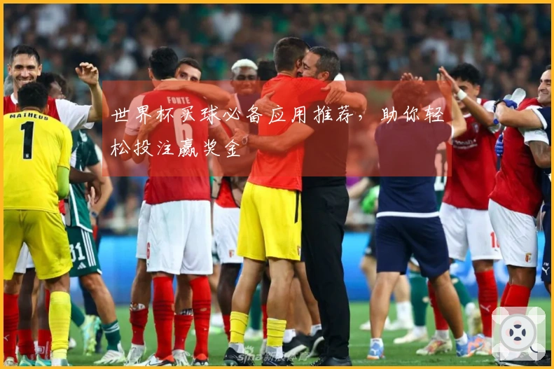 世界杯买球必备应用推荐，助你轻松投注赢奖金